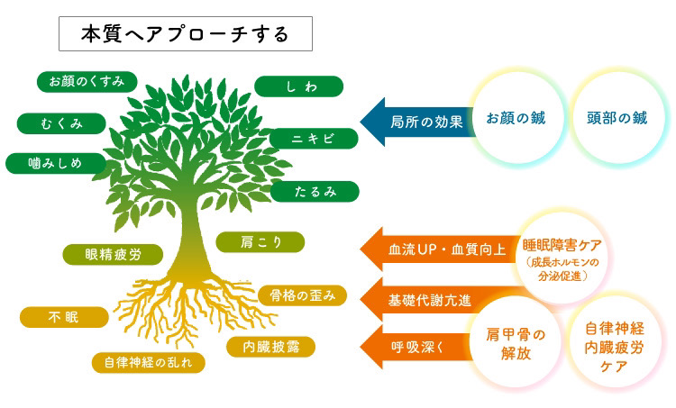 本質へアプローチする