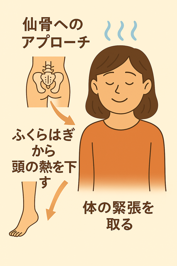 鍼灸院ひなたの特徴的なアプローチ ― 仙骨とふくらはぎから、深い疲労へ働きかける ―